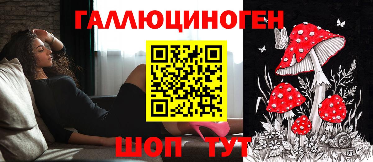 Галлюциногенные грибы MAGIC MUSHROOMS Гусиноозёрск